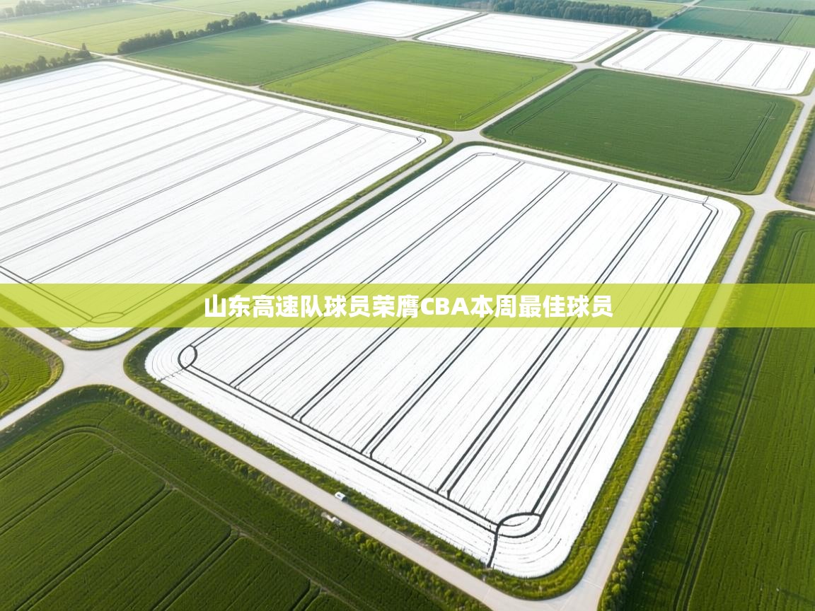 鲸蓝体育app下载-山东高速队球员荣膺CBA本周最佳球员