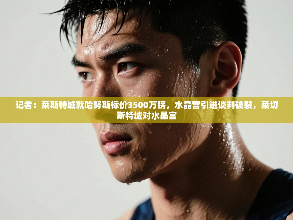 蓝鲸体育足球直播在线观看-记者：莱斯特城就哈努斯标价3500万镑，水晶宫引进谈判破裂，莱切斯特城对水晶宫