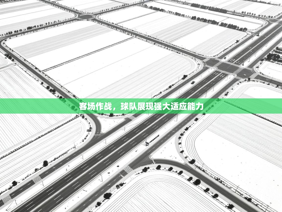 蓝鲸体育电脑版下载官网-客场作战,球队展现强大适应能力 第1张