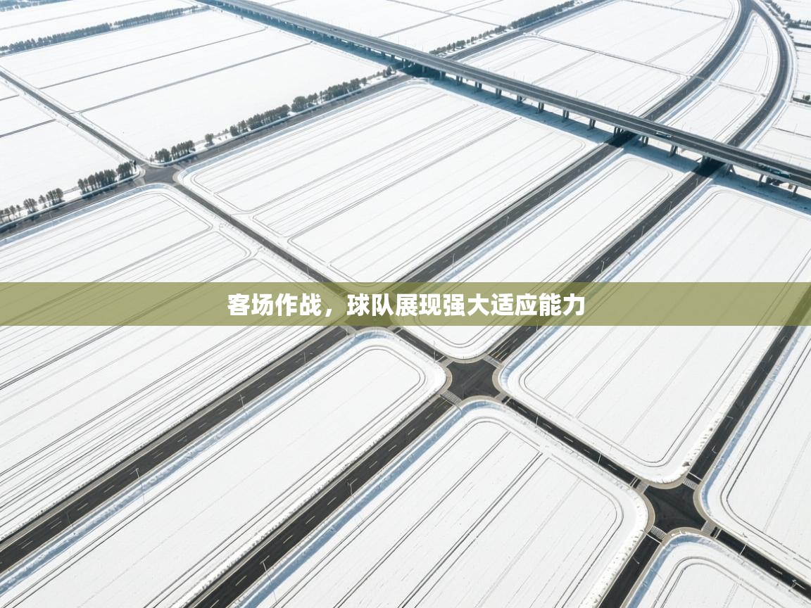 蓝鲸体育电脑版下载官网-客场作战,球队展现强大适应能力 第2张