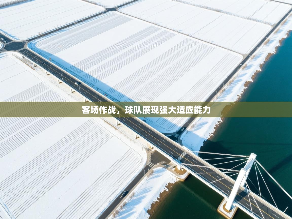 蓝鲸体育电脑版下载官网-客场作战,球队展现强大适应能力 第3张