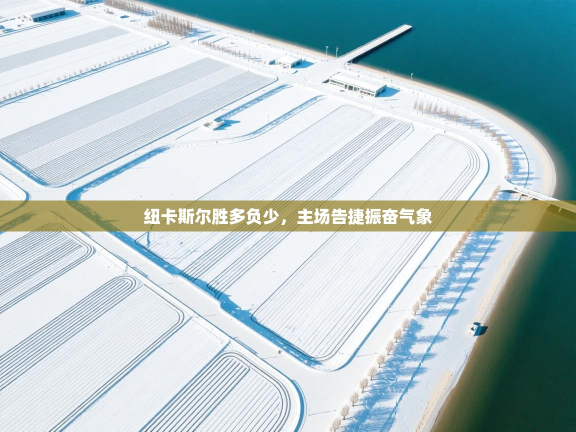 蓝鲸体育足球直播-纽卡斯尔胜多负少，主场告捷振奋气象