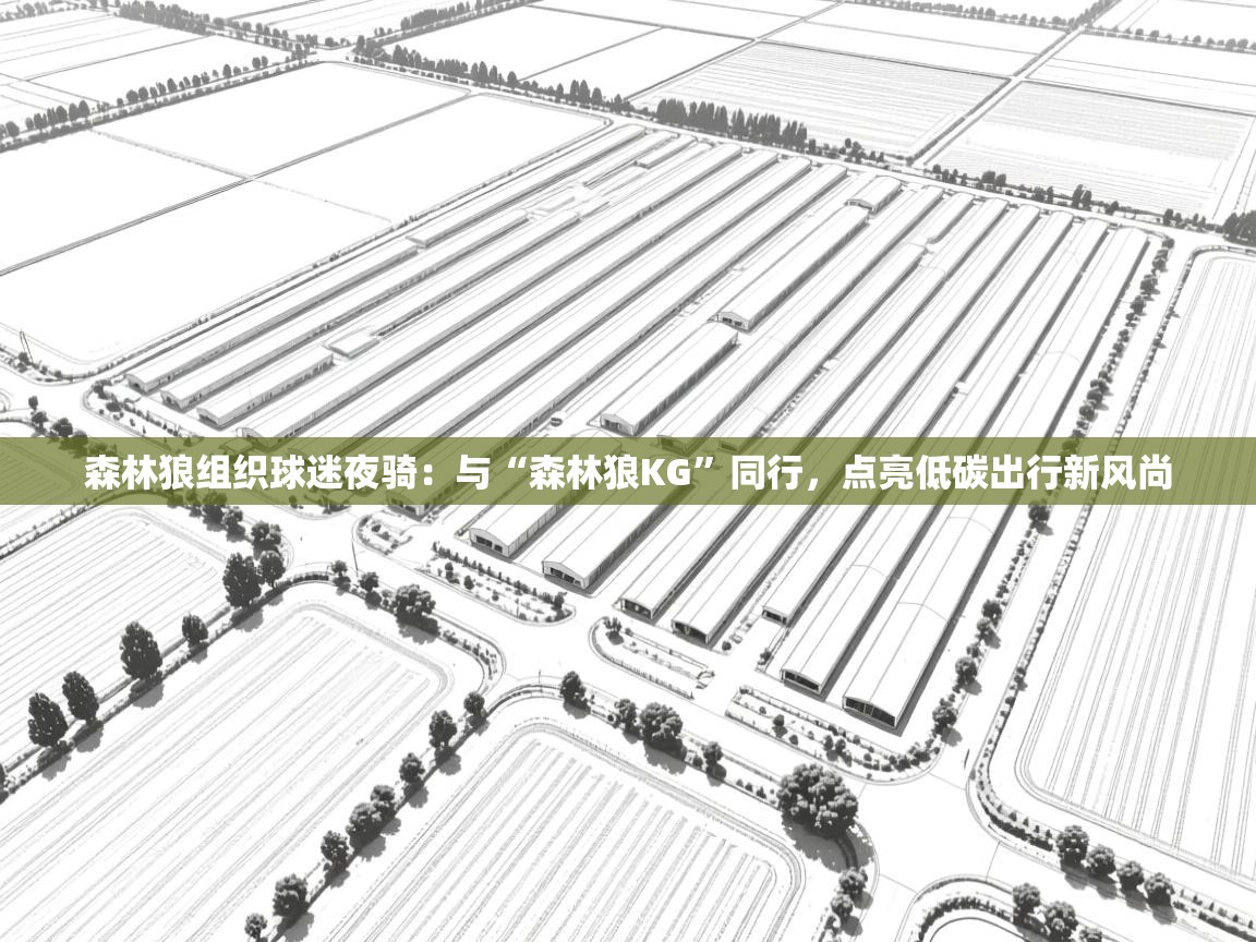 蓝鲸体育足球直播-森林狼组织球迷夜骑：与“森林狼KG”同行，点亮低碳出行新风尚